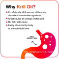 Premium Krill Oil Omega 3 unterstützt die Gelenkefunktion